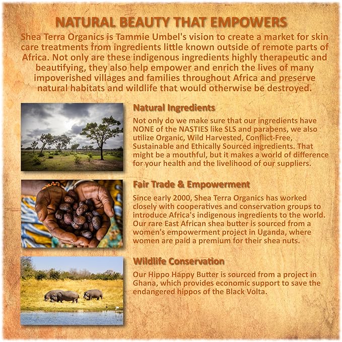Shea Terra Organics 100% Organic Cold-Pressed Virgin Shea Butter – S. African Lavender | Natural Anti-Aging Daily Skin, Nails & Hair Cream to Soften & Rejuvenate Skin & Reduce Stretch Mark – 6 oz