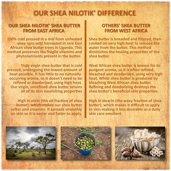 Shea Terra Organics 100% Organic Cold-Pressed Virgin Shea Butter – S. African Lavender | Natural Anti-Aging Daily Skin, Nails & Hair Cream to Soften & Rejuvenate Skin & Reduce Stretch Mark – 6 oz